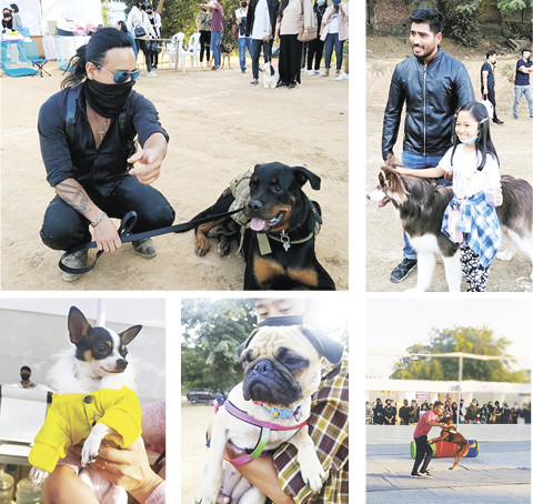 ‘Winter Fest’ for pets and families organized by the Society for the Prevention of Cruelty to Animals (SPCA) at Dimapur Government College ground on November 27.